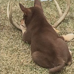 Meet your Posher, Nathan